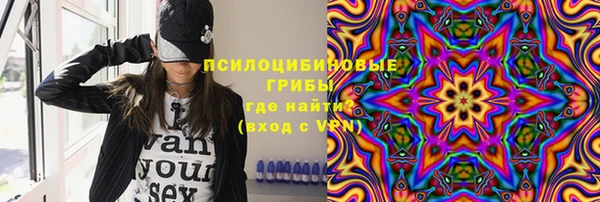 соль ск Алзамай