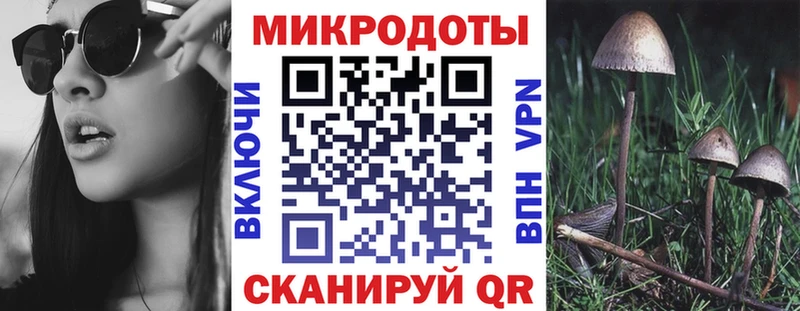 Псилоцибиновые грибы Magic Shrooms  купить  сайты  Куровское 